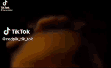 a tiktok video of a slice of bread being eaten .