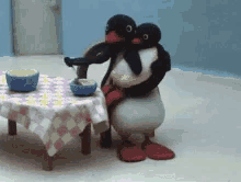 pingu noot pingu feed penguin funny