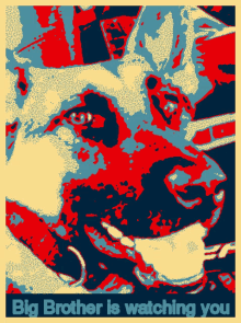 Radar Dog GIF - Radar Dog GIFs