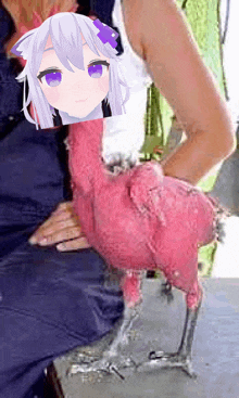 a woman is holding a pink chicken with a picture of a girl on it