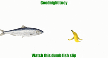 Goodnight Lucy GIF - Goodnight Lucy GIFs