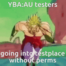 Yba Ybaau Testers GIF