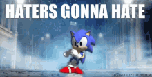Haters Gonna Hate Sonic The Hedgehog GIF