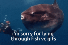 I'M Sorry Lying GIF - I'M Sorry Lying Fish Vc GIFs