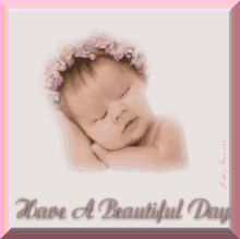 Good Morning Have A Beautiful Day GIF