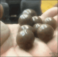 GIF