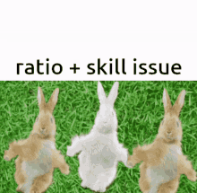 Ratio Skill Issue GIF - Ratio Skill Issue Lmao GIFs