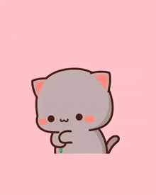 Mitao Cat GIF - Mitao Cat GIFs
