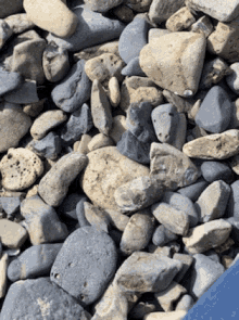 Rocks Beach GIF - Rocks Rock Beach GIFs