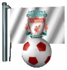 liverpool flag soccer