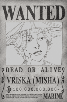 a wanted poster for vriska misha from one piece