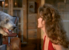Kissing Dog Shania Twain GIF - Kissing Dog Shania Twain Whose Bed Have Your Boots Been Under GIFs