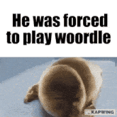 a picture of a dog next to a caption that says he was forced to play woorden
