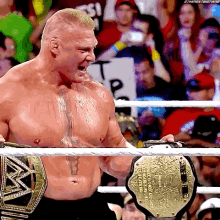 Brock Lesnar World Heavyweight Champion GIF - Brock Lesnar World Heavyweight Champion Wwe GIFs