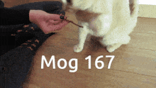 Mogcat 167 GIF - Mogcat Mog 167 GIFs