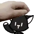 a hand is petting a black cat with a t on its face
