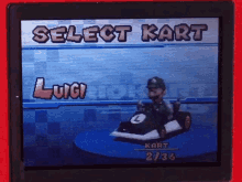 Luigi Mario Kart GIF