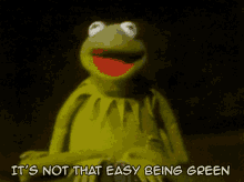 Kermit Muppet GIF - Kermit Muppet Green GIFs