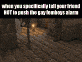 a screenshot of a video game that says " when you specifically tell your friend not to push the gay femboys alarm " at the top