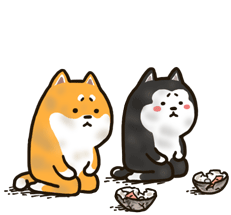 二哈萌柴2微信表情 Husky And Shiba Sticker - 二哈萌柴2微信表情 Husky And Shiba Sad Stickers