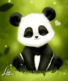 Oso Panda GIFs | Tenor