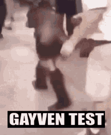 Gayven Gayven Test GIF - Gayven Gayven Test Raven GIFs
