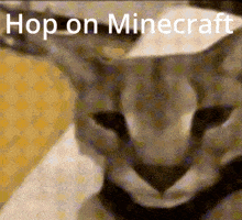 Hop On Minecraft Floppa GIF - Hop On Minecraft Floppa Hop On GIFs