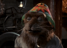 a cat wearing a flowered hat and a scarf around its neck