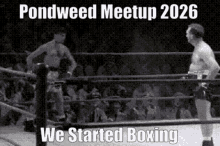 pondweed boxing