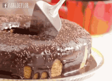 Bolo De Chocolate Cake GIF - Bolo De Chocolate Cake Yummy GIFs