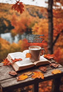 a cup of coffee sits on top of an open book with autumn leaves