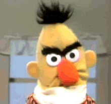 Bert Sesame Street GIF - Bert Sesame Street Angry Puppet GIFs