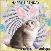 Happy Birthday Serena Serena Birthday GIF - Happy Birthday Serena Serena Birthday Cat Birthday GIFs