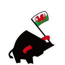 Wales Stier GIF