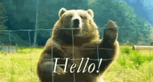 a bear is standing behind a barbed wire fence and waving at the camera .