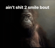 a picture of a monkey with the words ain 't shit 2 smile bout