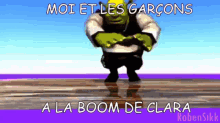French Shrek Shrek GIF - French Shrek Shrek Moi Et Les Garcons GIFs