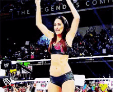 Yes Yes Yes Brie Bella GIF