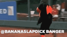 Bananaslapdick Baltimore Orioles GIF