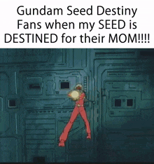 Gundam Gundam Seed Destiny GIF - Gundam Gundam Seed Destiny Seed Destiny GIFs