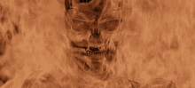 Rage Flame GIF - Rage Flame Terminator GIFs