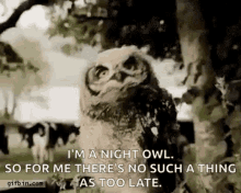 Im A Night Owl Whats Up GIF - Im A Night Owl Whats Up Lets Dance GIFs