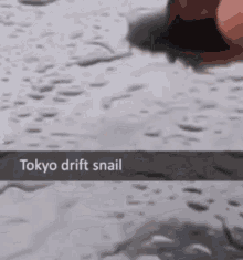 snail drift