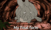 a cartoon of a rabbit with the words " my final form " above it