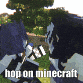 a screenshot of a video game with the words hop on minecraft