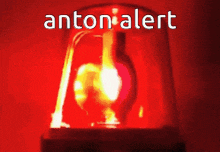 Anton Alert R74n GIF - Anton Alert R74n GIFs