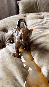 a cat covered in melted chocolate is laying on a bed