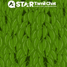 a blue and white penguin peeking out from behind some green leaves with a star tamil chat logo in the background