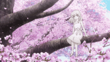 a girl in a white dress sits on a tree branch