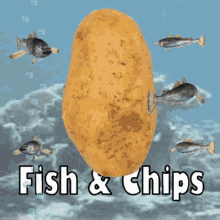 Fish And Chips Cod And Chips GIF